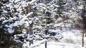 Authorities issue severe snowstorm warning